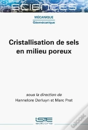 Capa do artigo Cristallisation De Sels En Milieu Poreux