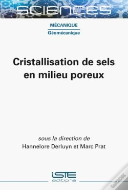 Capa do artigo Cristallisation De Sels En Milieu Poreux