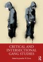 Critical And Intersectional Gang Studies - Preview