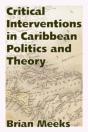 Critical Interventions In Caribbean Politics And Theory - Preview