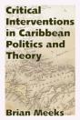 Critical Interventions In Caribbean Politics And Theory - Preview