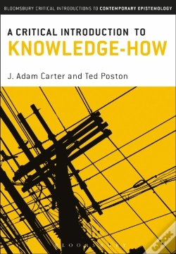 Capa do artigo Critical Introduction To Knowledge-How