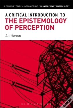 Capa do artigo Critical Introduction To The Epistemology Of Perception
