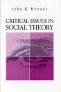 Critical Issues In Social Theory - Preview