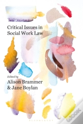 Critical Issues In Social Work Law