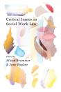 Critical Issues In Social Work Law - Preview