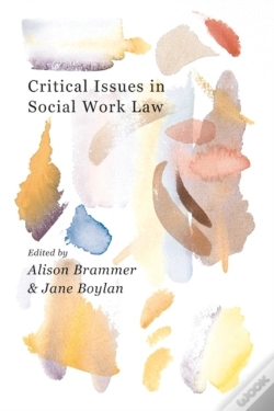 Capa do artigo Critical Issues In Social Work Law