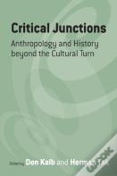 Critical Junctions