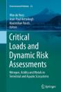 Critical Loads And Dynamic Risk Assessments - Preview