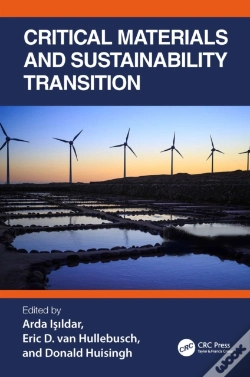 Capa do artigo Critical Materials And Sustainability Transition