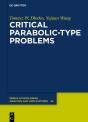 Critical Parabolic-Type Problems - Preview