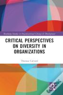Critical Perspectives On Diversity In Organizations