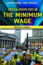 Critical Perspectives On The Minimum Wage - Preview