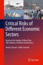 Critical Risks Of Different Economic Sectors - Preview