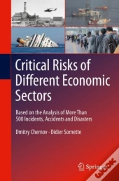 Critical Risks Of Different Economic Sectors