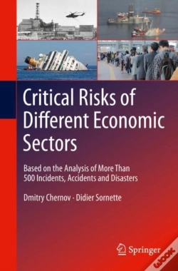 Capa do artigo Critical Risks Of Different Economic Sectors