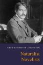 Critical Survey Of Long Fiction - Preview