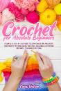 Crochet For Absolute Beginners - Preview