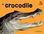 Crocodile - Preview