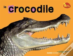 Capa do artigo Crocodile