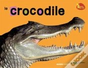 Capa do artigo Crocodile