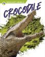 Crocodile - Preview