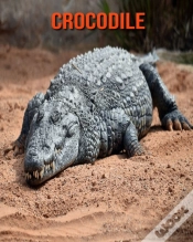 Capa do artigo Crocodile