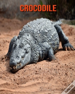 Capa do artigo Crocodile