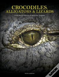 Crocodiles, Alligators & Lizards