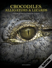 Capa do artigo Crocodiles, Alligators & Lizards