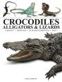 Crocodiles, Alligators & Lizards - Preview