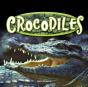 Crocodiles - Preview