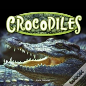 Capa do artigo Crocodiles