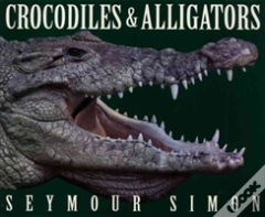 Crocodiles & Alligators