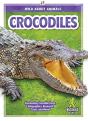 Crocodiles - Preview