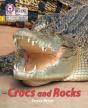 Crocs And Rocks - Preview