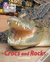 Capa do artigo Crocs And Rocks