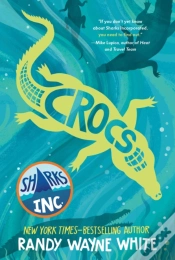 Capa do artigo Crocs