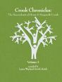 Crook Chronicles - Preview