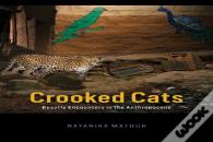 Crooked Cats