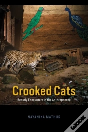 Capa do artigo Crooked Cats