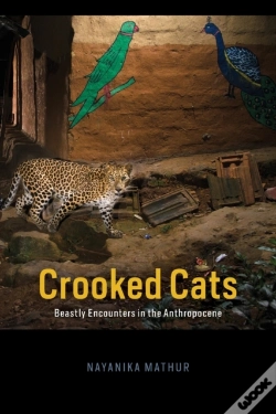 Capa do artigo Crooked Cats