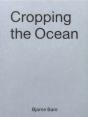 Cropping The Ocean - Preview
