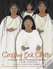 Capa do artigo Crossing Bok Chitto