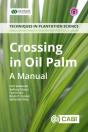 Crossing In Oil Palm - Preview