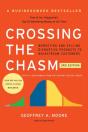 Crossing The Chasm, 3rd Edition - Preview