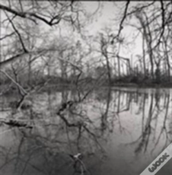 Capa do artigo Crossing The Water