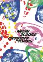 Crossing Traces: Nevin Aladag - Preview