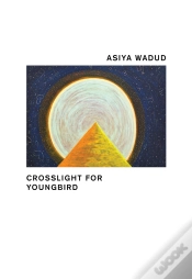 Capa do artigo Crosslight For Young Bird