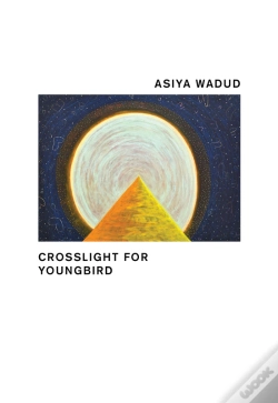 Capa do artigo Crosslight For Young Bird